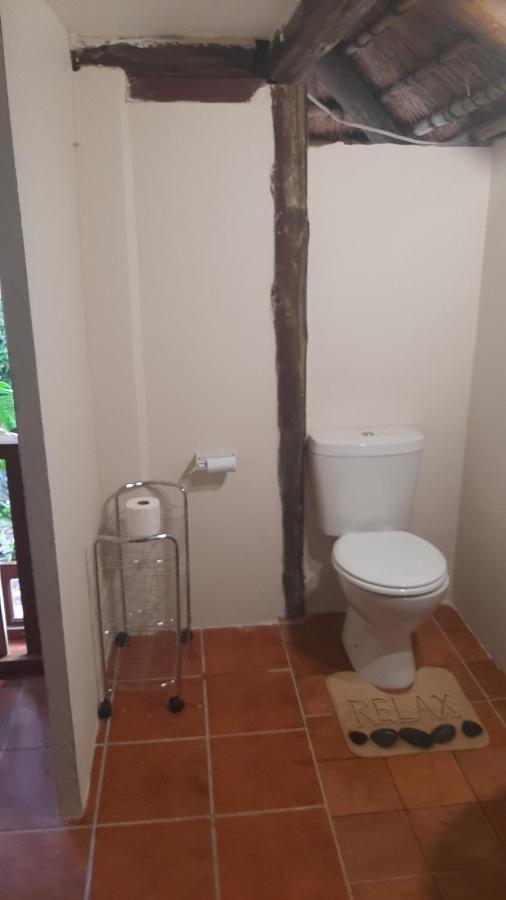 派恩敦Thrush Nest Durban住宿加早餐旅馆 外观 照片