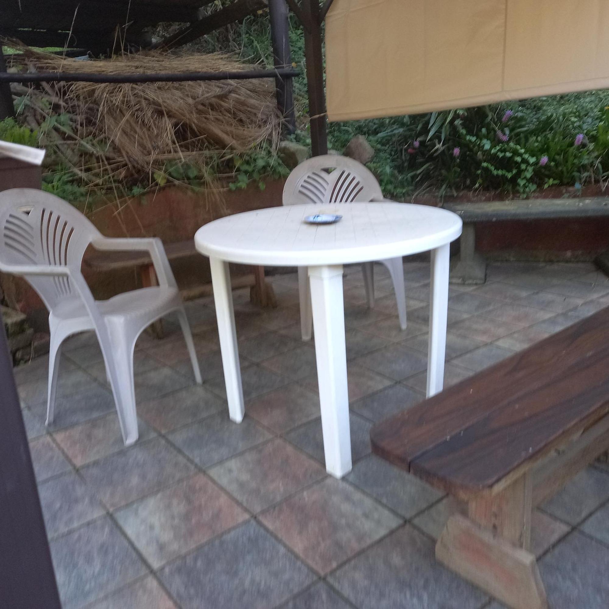 派恩敦Thrush Nest Durban住宿加早餐旅馆 外观 照片